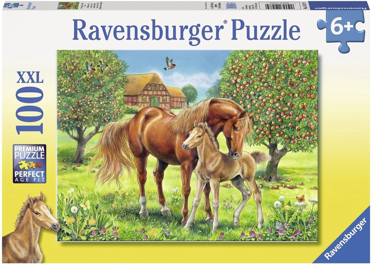 Aanpassing Riskant een keer Ravensburger puzzel Paarden in de wei - Legpuzzel - 100 stukjes | bol.com