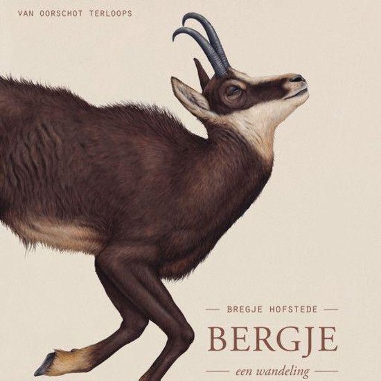Bergje - cover