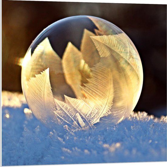 Forex - Glazen Bal met Sneeuwvlokken - 80x80cm Foto op Forex