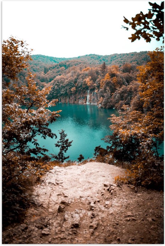 Poster – Meer midden in het Bos - 80x120cm Foto op Posterpapier