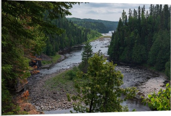 Forex - Rivier tussen de Bomen - Foto op Forex