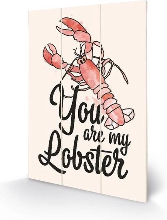 Poster - Harry Potter Houten You Are My Lobster - 295 X 20 Cm - Multicolor