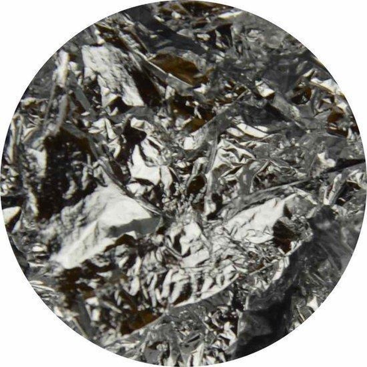 Goedkoopste Korneliya Bladgoud Zilver