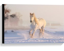 Canvas  - Galopperend Wit Paard - 60x40cm Foto op Canvas Schilderij (Wanddecoratie op Canvas)