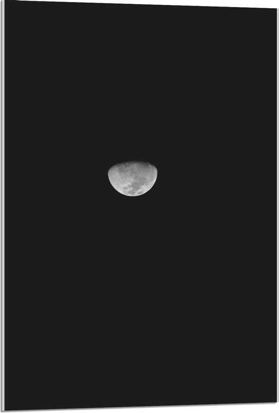 Acrylglas - Witte Maan voor de Helft - 60x90cm Foto op Acrylglas (Met Ophangsysteem)