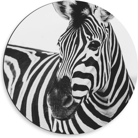 Dibond Wandcirkel - Zebra Hoofd (zwart/wit) - 50x50cm Foto op Aluminium Wandcirkel (met ophangsysteem)
