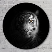 Muurcirkel ⌀ 100 cm - Eye of the tiger - Aluminium Dibond - Dieren - Rond Schilderij - Wandcirkel - Wanddecoratie