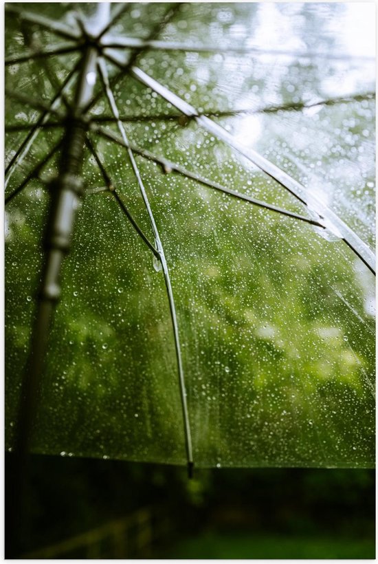 Poster – Natgeregende Paraplu bij Planten - 40x60cm Foto op Posterpapier