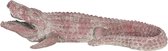Clayre & Eef Decoratie Beeld Krokodil 46*21*12 cm Rood Kunststof Decoratief Figuur Decoratieve Accessoires Woonaccessoires