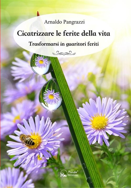 Cicatrizzare le ferite della vita - cover