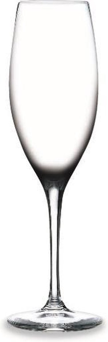 RONA - Champagne flute 23cl 