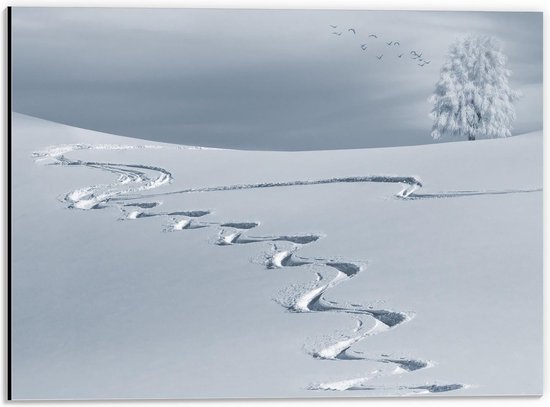 Dibond - Strepen in Sneeuw - 40x30cm Foto op Aluminium (Wanddecoratie van metaal)