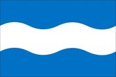 Vlag gemeente Maassluis 70x100 cm