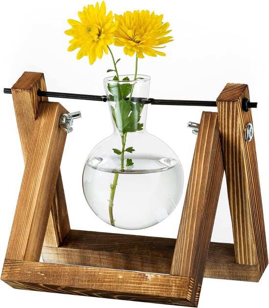 Propagation Station for Plants, Upgraded Version, Onion Vase Planter with Wooden Stand, Indoor Glass Flower Pot for Table Decoration, Vintage Home Office Accessory, 1 Onion Vase