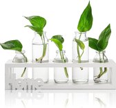 Plantenterrarium met houten standaard 5 luchtplantenbakken Glazen vaas voor tafelblad Hydrocultuurplanten Thuiskantoordecoratie (wit)