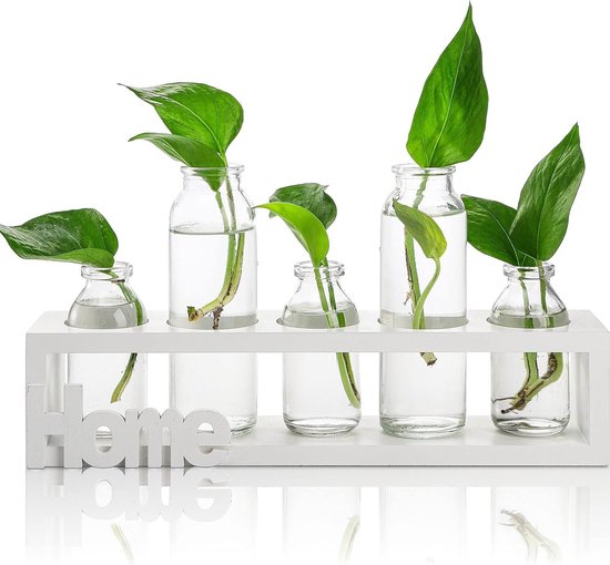XXXFLOWER Plantenpotten houten standaard, plantenterrarium voortplantingsstation desktop hydrocultuur plantenbak glazen vaas voor thuis tuin kantoor decoratie, plantenliefhebber geschenken - 2 Liefde