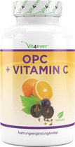 Vit4ever - OPC druivenpitextract + natuurlijke vitamine C - 240 capsules voor 8 maanden - Hoogste OPC-gehalte volgens HPLC - OPC van Europese druiven - Veganistisch
