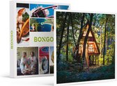 Bongo Bon - 2 UNIEKE OVERNACHTINGEN IN EEN BOOMHUT - Cadeaukaart cadeau voor man of vrouw