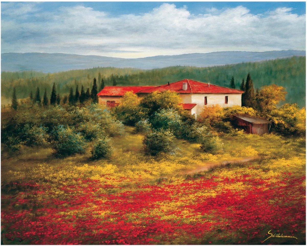 Kunstdruk Heinz Schölnhammer - Landschaft mit Mohn II 60x50cm