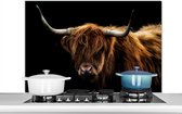 Spatscherm keuken 100x65 cm - Kookplaat achterwand Schotse Hooglander - Horens - Zwart - Dieren - Natuur - Wild - Koe - Muurbeschermer - Spatwand fornuis - Hoogwaardig aluminium