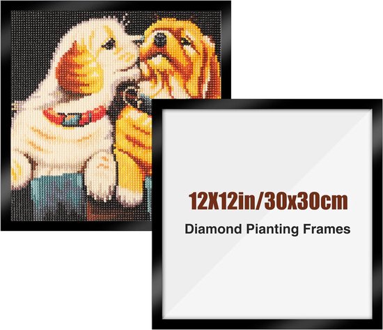 Diamond Painting Frame, Diamond Painting Picture Frame Compatibel met 24,6  x 24,6 cm