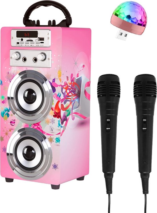 Karaoke Set Voor Volwassenen Karaoke Set Met 2 Microfoons bol