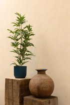 Aralia Kunstplant 100cm | Kunstplant voor binnen | Kunst Aralia plant | Middelgrote kunstplant | Nep Aralia