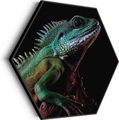 Akoestisch Schilderij De Groene Kameleon Hexagon Basic XL (140 X 121 CM) - Akoestisch paneel - Akoestische Panelen - Akoestische wanddecoratie - Akoestisch wandpaneel