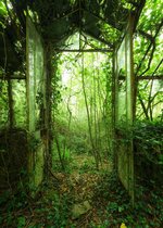 Fotobehang - Greenhouse 200x280cm - Vliesbehang