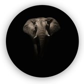 Olifant in het donker - Olifant schilderij - Wildernis - Wanddecoratie zwart wit - Schilderij olifant - Muurdecoratie forex - 75 x 75 cm 3mm