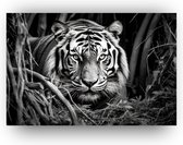 Tijger - Aluminium schilderij - Schilderij Tijger - metaal Schilderij zwart wit - portret dieren - Zwart wit tijger - 70 x 50 cm 3mm