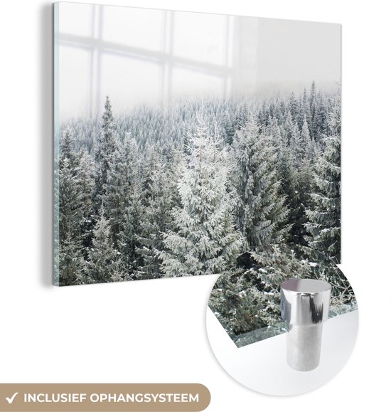 MuchoWow® Glasschilderij 40x30 cm - Schilderij acrylglas - Bos - Sneeuw - Winter - Seizoenen - Dennenboom - Foto op glas - Schilderijen
