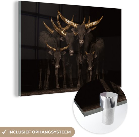 Glasschilderij dieren - Koeien - Goud - Hoorns - Luxe - Foto op glas - Schilderij koe - 60x40 cm - Muurdecoratie glas - Woondecoratie - Woonkamer