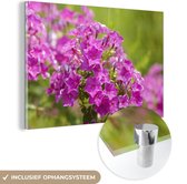 Fleurs de flammes violettes vieillies Plexiglas 60x40 cm - Tirage photo sur Glas (décoration murale plexiglas)