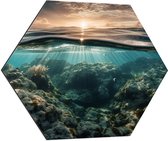 Dibond Hexagon - Zee - Koraal - Vissen - Water - Zon - 70x60.9 cm Foto op Hexagon (Met Ophangsysteem)