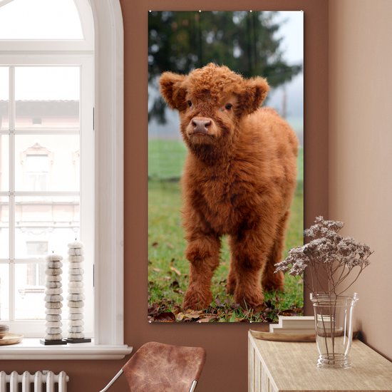 MuchoWow® Peinture sur verre 80x160 cm - Peinture sur verre acrylique - Highlander écossais - Veau - Herbe - Photo sur verre - Peintures