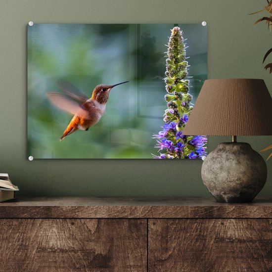 MuchoWow® Peinture sur verre - Vogel - Colibri - Bloem - 40x30 cm - Peintures sur verre acrylique - Photo sur Glas