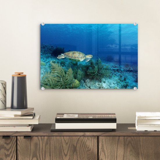MuchoWow® Glasschilderij 30x20 cm - Schilderij acrylglas - Groene zeeschildpad op Bonaire - Foto op glas - Schilderijen