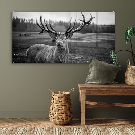 Tableau sur verre - Photo sur verre - Animaux - Cerf - Bois - Forêt - Nature - 120x60 cm - Verre acrylique - Décoration murale verre - Tableau sur verre cerf - Tableau sur verre animaux - Décoration d'intérieur