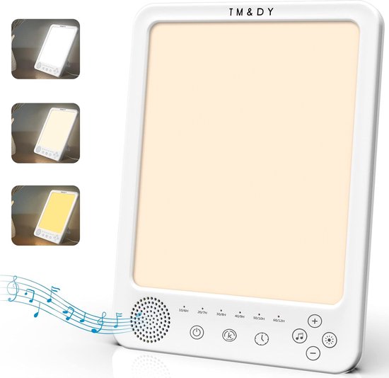 TM&DY Daglichtlamp