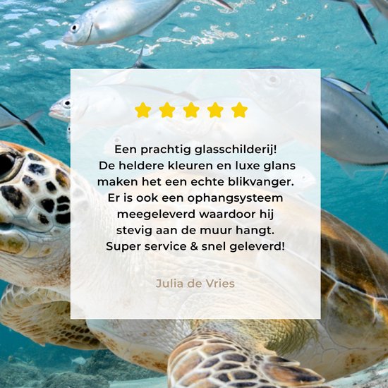 MuchoWow® Glasschilderij 160x120 cm - Schilderij acrylglas - Schildpad - Vis - Zee - Foto op glas - Muurdecoratie woonkamer - Wanddecoratie slaapkamer - Schilderijen