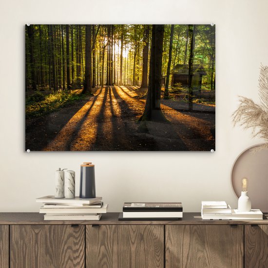 Peinture sur verre - Peinture sur verre intérieur - Forêt - Soleil - Nature - Paysage - Verre acrylique - Photo sur verre - Peinture sur verre - 60x40 cm - Décoration murale - Salon