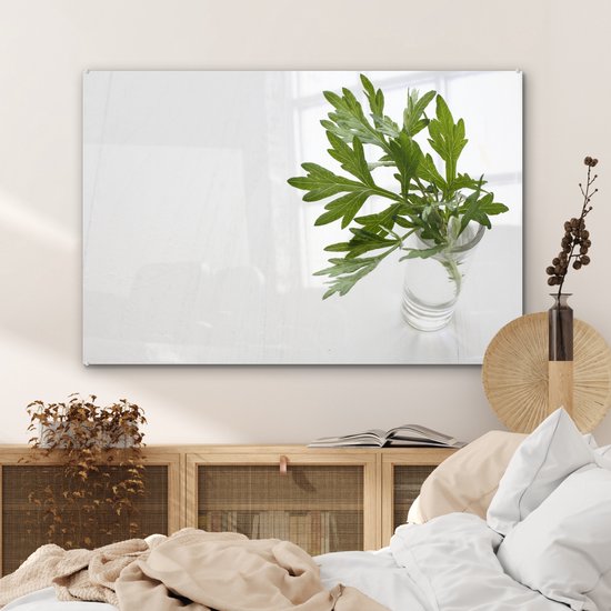 Gros plan des feuilles d'absinthe Plexiglas 120x80 cm - Tirage photo sur Glas (décoration murale plexiglas)
