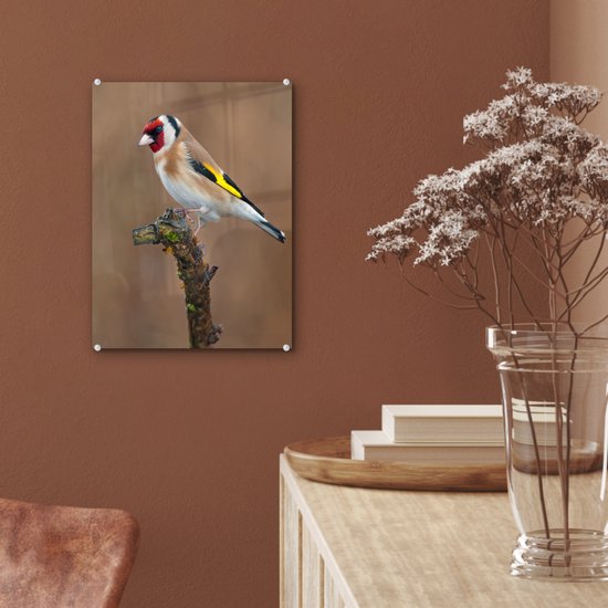Peinture sur verre - Gros plan d'un chardonneret coloré sur une branche fine - 30x40 cm - Peintures sur Verre Peintures - Photo sur Glas