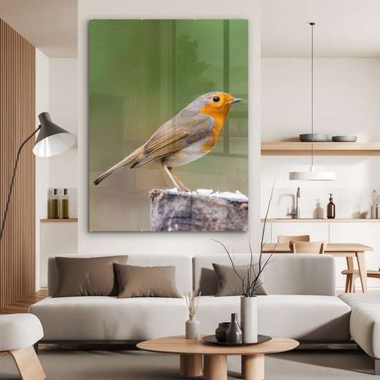 MuchoWow® Peinture sur verre 120x160 cm - Peinture sur verre acrylique - Animaux - Oiseau - Vogel -gorge - Photo sur verre - Peintures