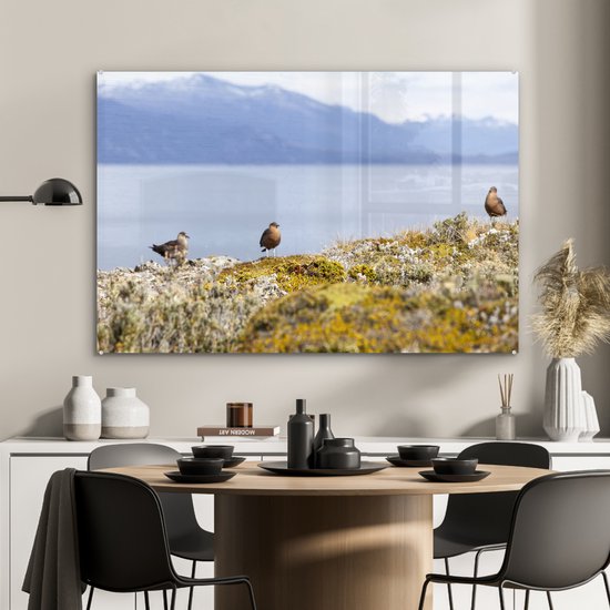 Vogels dans le parc national de la Terre de Feu avec des montagnes enneigées en arrière-plan Plexiglas 120x80 cm - Tirage photo sur Glas (décoration murale en plexiglas)