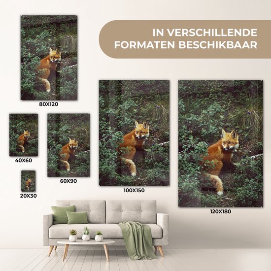 MuchoWow® Peinture sur Verre - Renard - Nature - Forêt - 100x150 cm - Peintures sur Verre Acrylique - Photo sur Glas