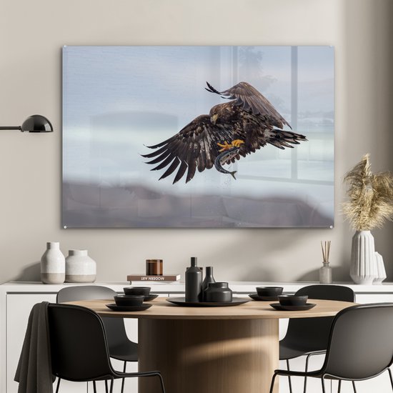 Pygargue à tête blanche attrape un poisson Plexiglas 90x60 cm - Tirage photo sur Glas (décoration murale en plexiglas)
