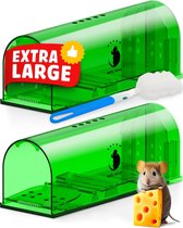 Lexium Muizenval - Muizenvallen - Muizenvallen Voor Binnen - Diervriendelijke Muizenval - 2 Stuks - Groen