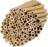 Belle Vous Natuurlijke Bamboe Stengel (100 Pak) - L10 x B0,9 cm - Insectenhotel Vulling, Wilde Bijen Hotel, Sterk en Duurzaam - Tomaten Staak, Tuinplanten Support en Hobby